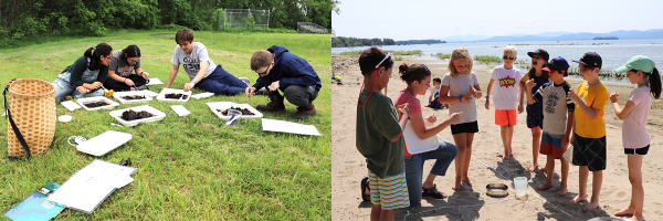 Students on lawn looking at water samples and students on beach with educator